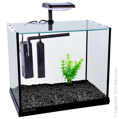Oasis Betta Aquarium