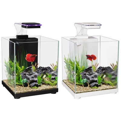 Betta Sanctuary Glass Aquarium 10L - Black