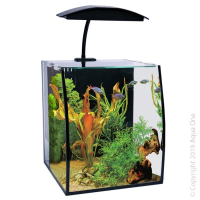 Arc 16 Glass Aquarium 16L