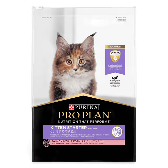 Proplan Kitten Starter 8kg