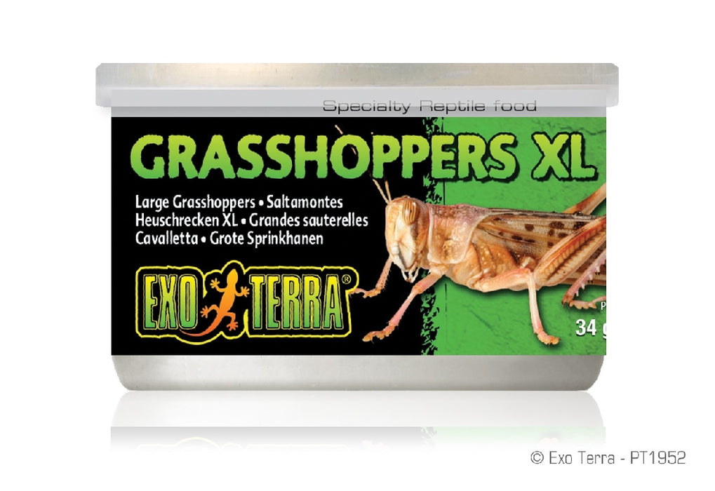 Exo Grasshoppers XLge 34g