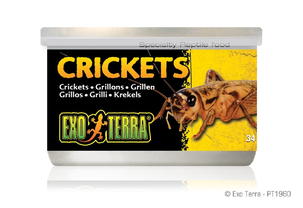 Exo Crickets Small 34gm