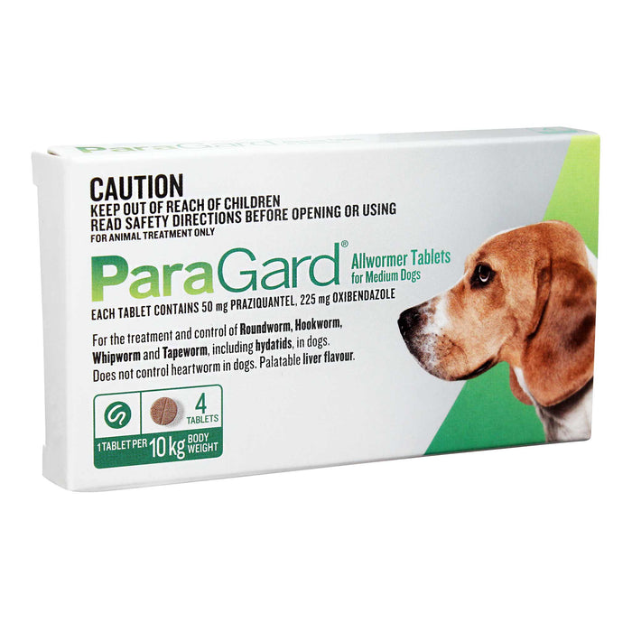 Paragard Dog