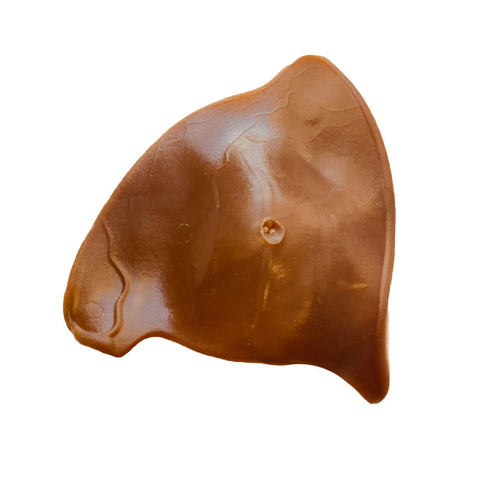 N/Gen Vegetarian Ear