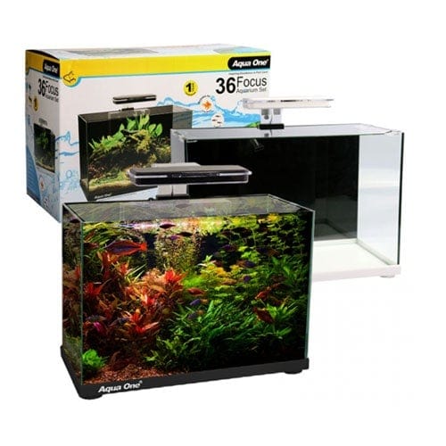 Aqua One Focus 36 Glass Aquarium 36L