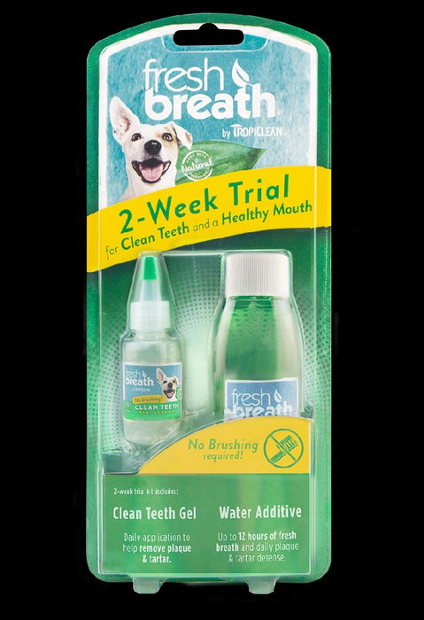 FB Dental Trial Kit