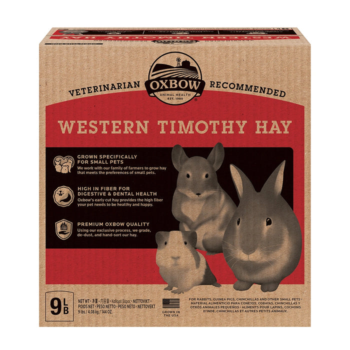 OX Western Timothy