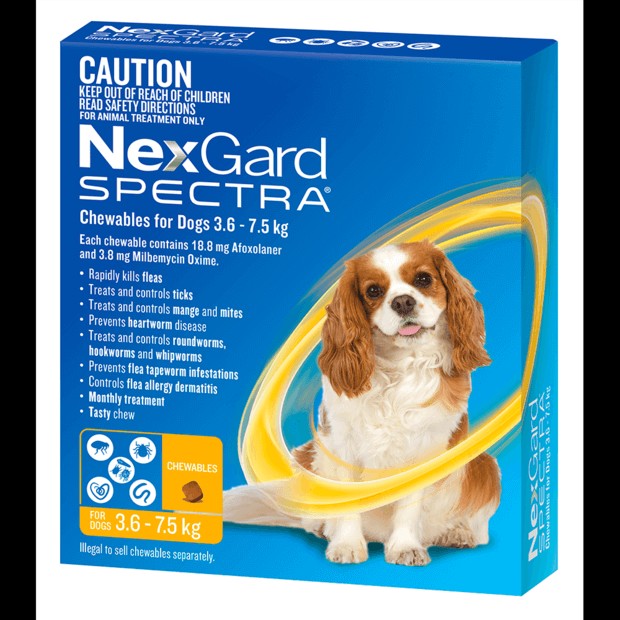 Nexgard Spectra Small Dog Yellow