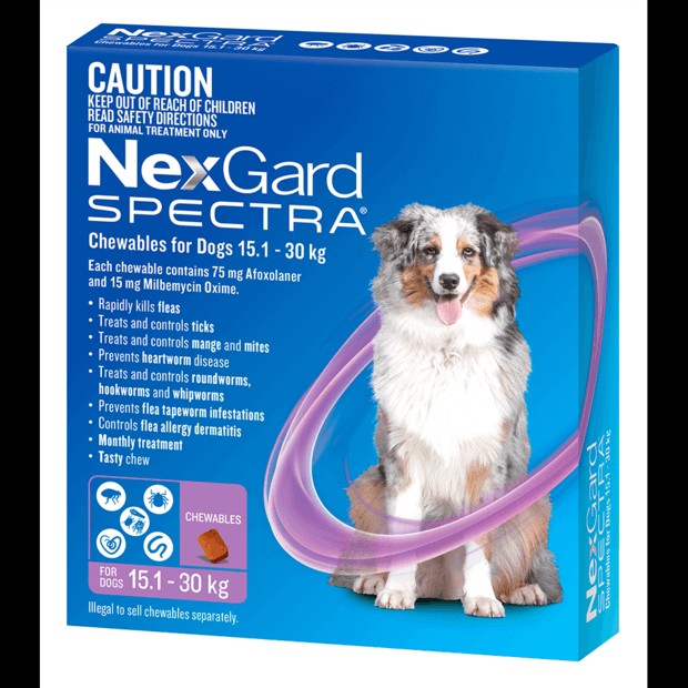 Nexgard Spectra Large Dog Purple