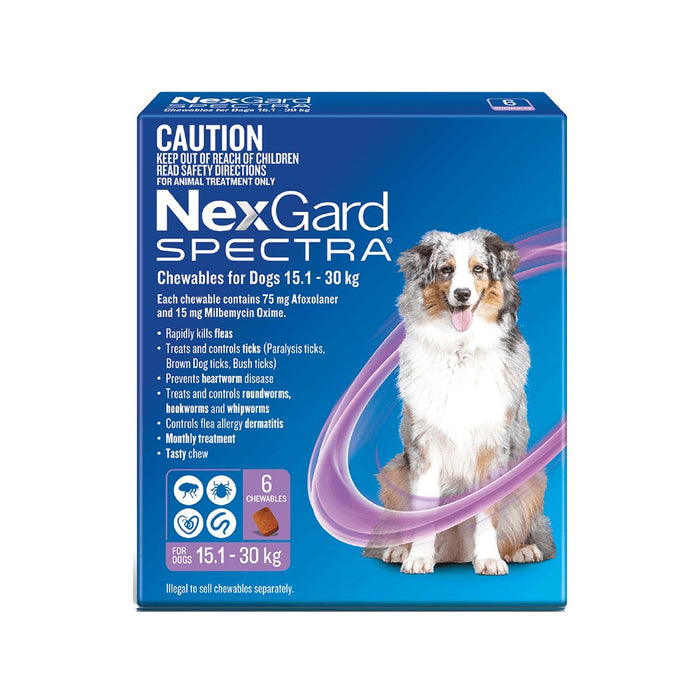 Nexgard Spectra Large Dog Purple