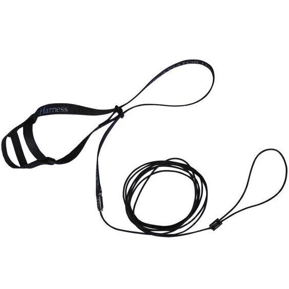 Aviator Bird Harness Black