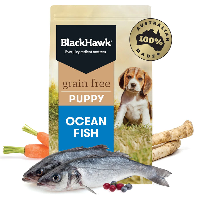 BH GF Puppy Ocean Fish