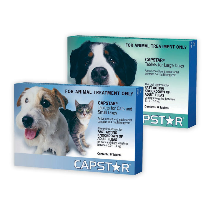 Capstar Flea Treatment 6pk