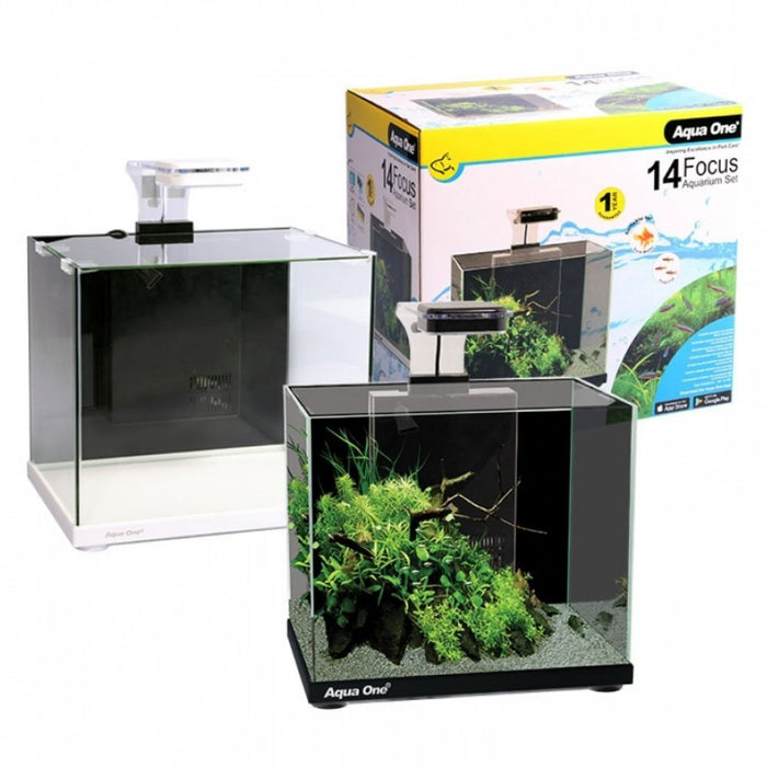 Aqua One Focus 14 Glass Aquarium 14L