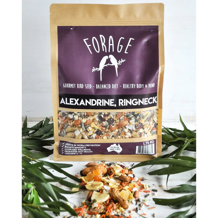 Forage Alexandrine & Ringneck Mix