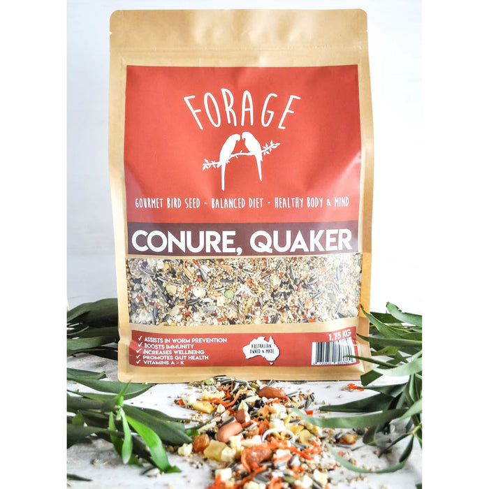 Forage Conure & Quaker Mix