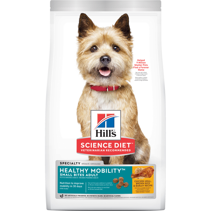 SDD Healthy Mobility Small Bites