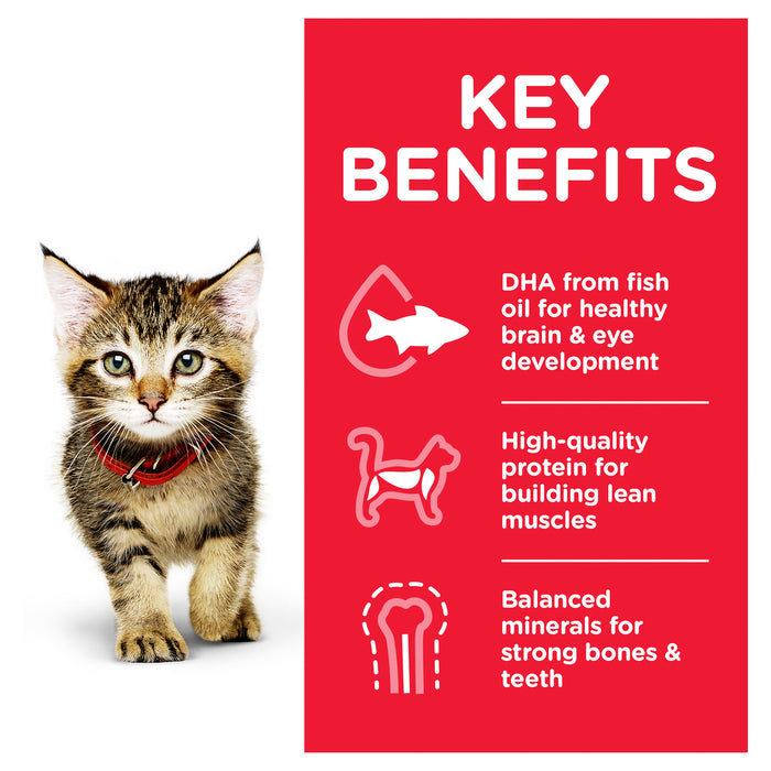 Science Diet Kitten Fish