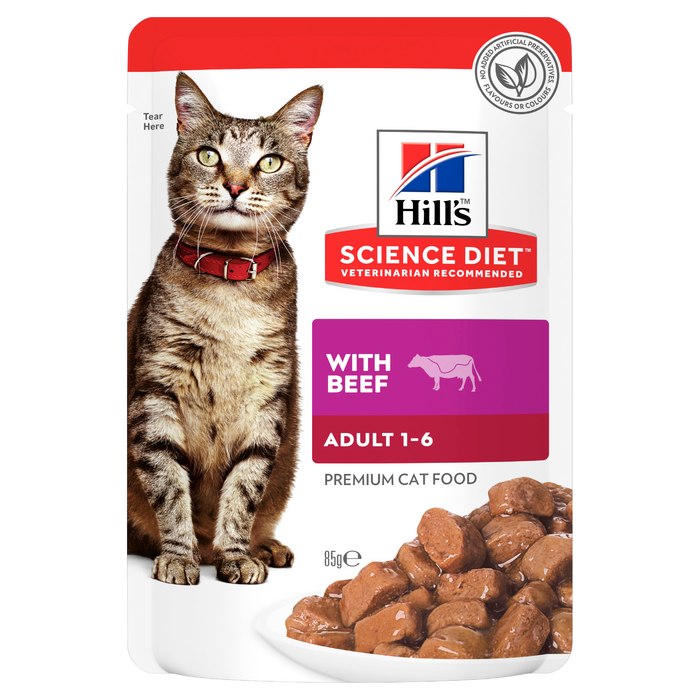 Science Diet Beef