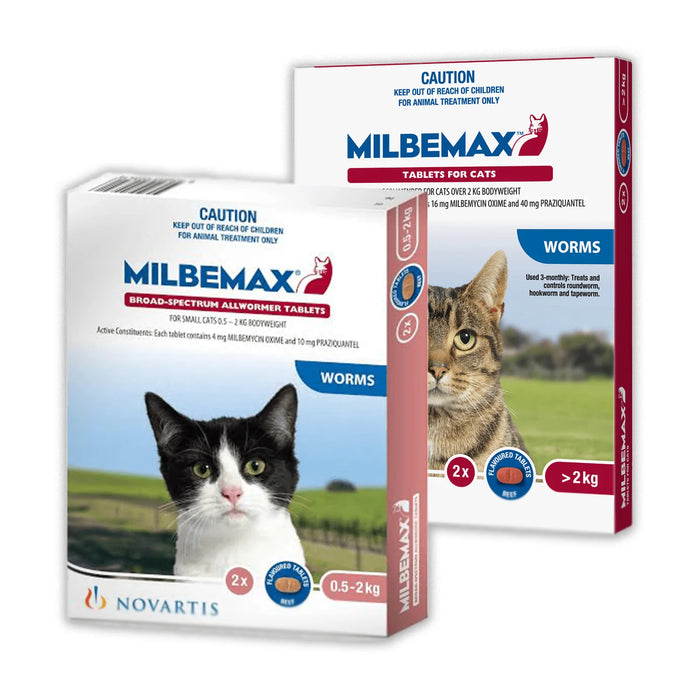 Milbemax Cat