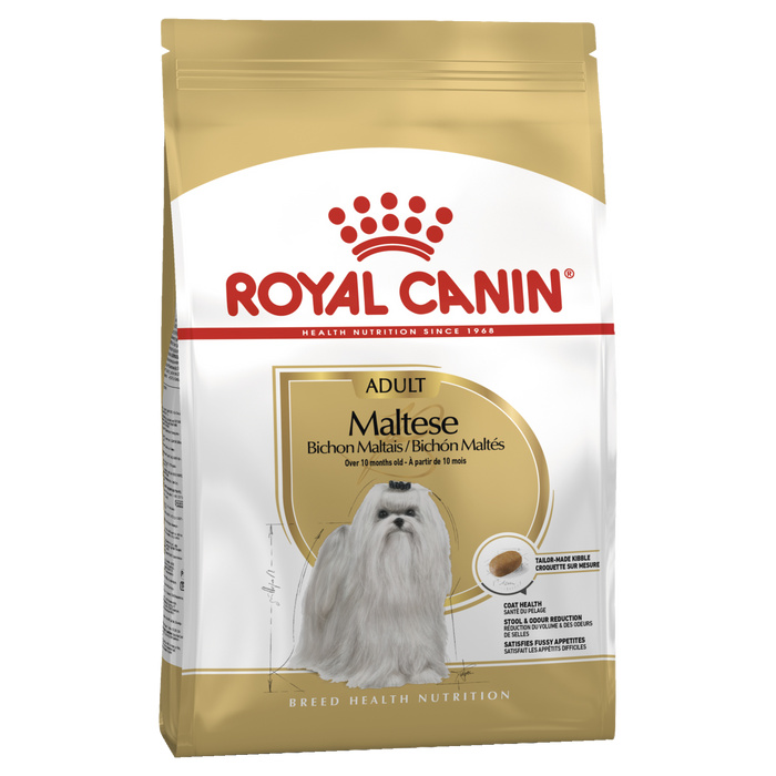 R/Canin Maltese