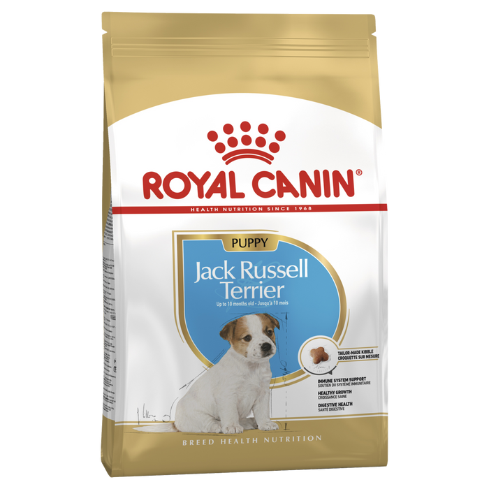 R/Canin Jack Russell Puppy
