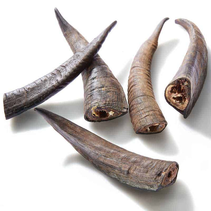 GOAT HORN