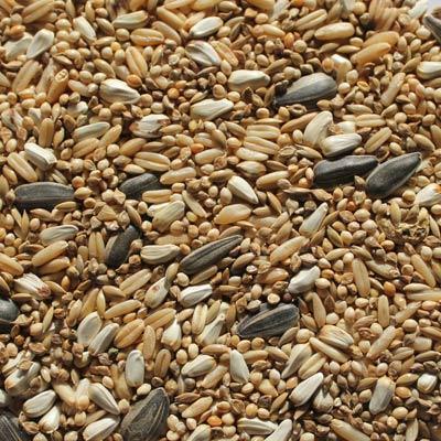 PSS Small Parrot Mix