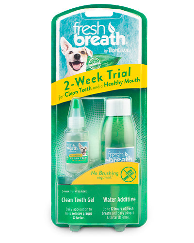 FB Dental Trial Kit
