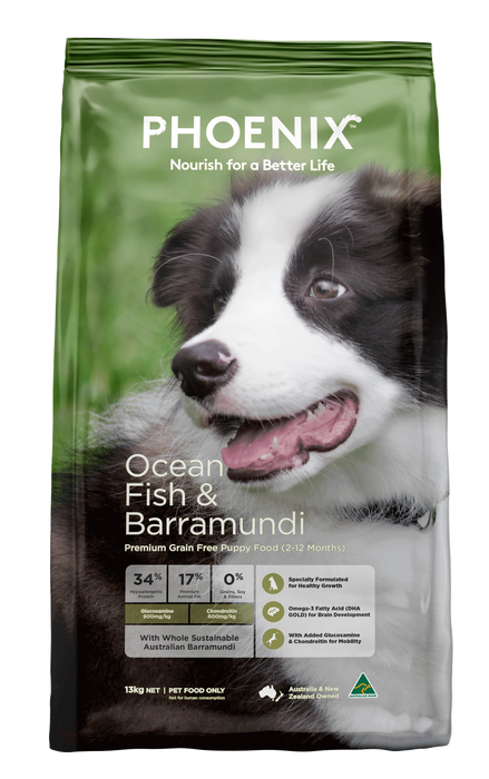 Phoenix Puppy Ocean Fish & Barramundi