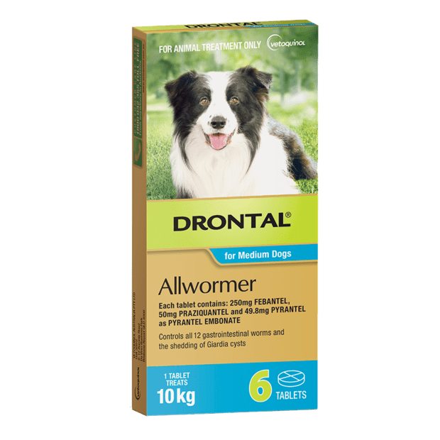 Drontal Dog Tablets 10kg 6pk