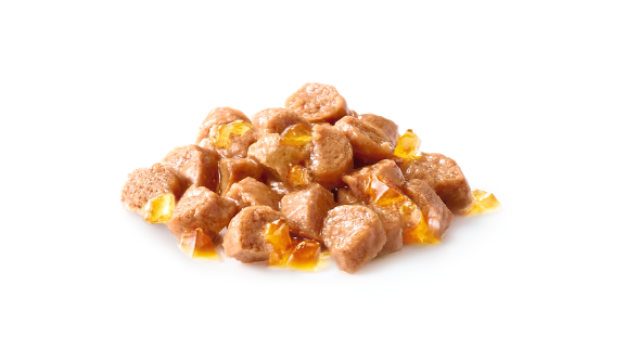 Royal Canin Kitten Jelly