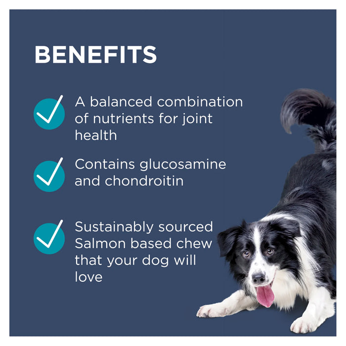 Paw Joint Protect Chews