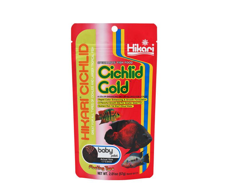 Hikari Cichlid Gold Baby