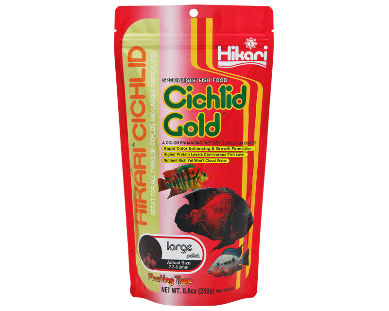 Hikari Cichlid Gold Large