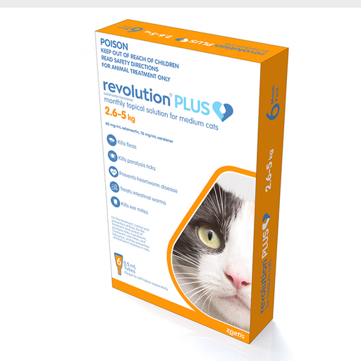 Revolution Plus Cat Medium 2.6-5kg [Sz:6pk]