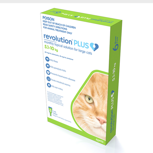 Revolution Plus Cat Large 5.1-10kg [Sz:6pk]