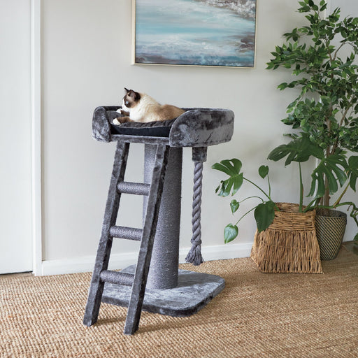 Kazoo Kitty High Bed & Ladder [Clr:Charcoal Plush & Sisal]