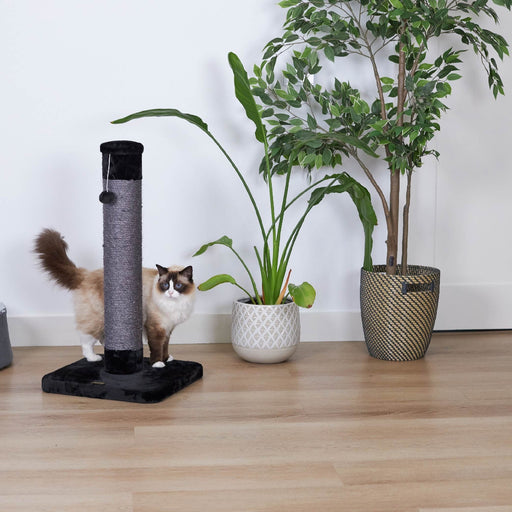 Kazoo Kitty Scratch Post [Sz:Medium Clr:Grey & Black]