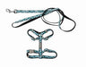 FuzzYard Cat Walking Set - Wild One Aqua