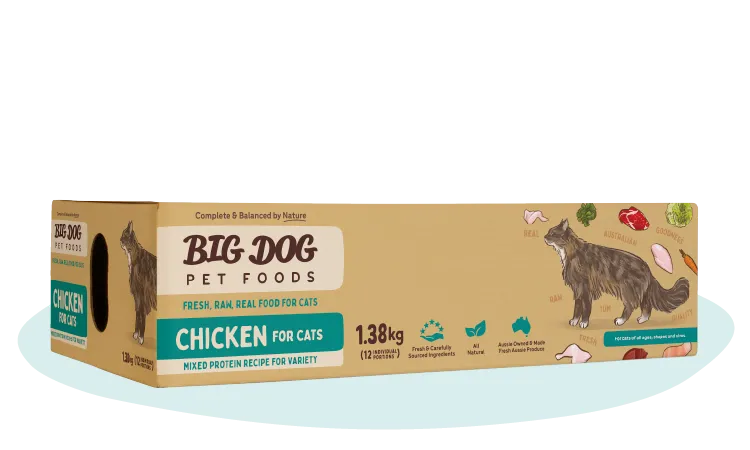 Big Dog Barf Chicken for Cats