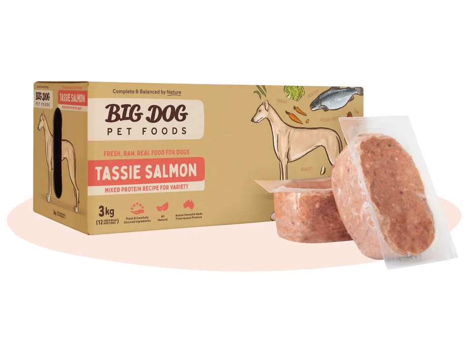 Big Dog Barf Salmon