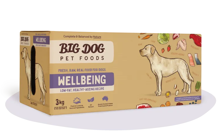 Big Dog Barf Wellbeing