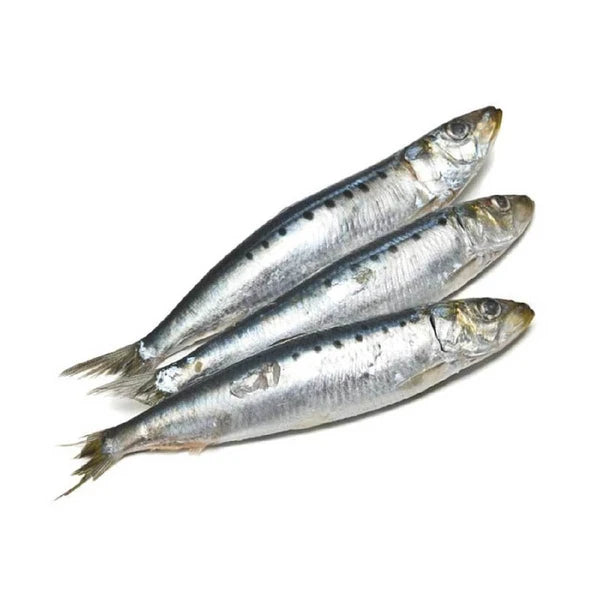 CANINE COUNTRY Whole Sardines 1kg