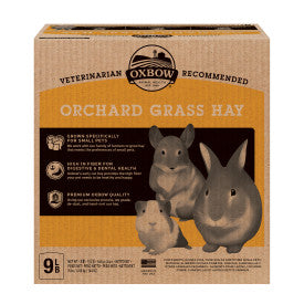 OX Orchard Grass