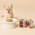 Savour Life Chicken Kitten Food 12x85g