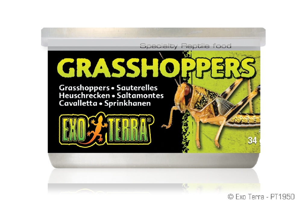 Exo Grasshoppers Sml 34g