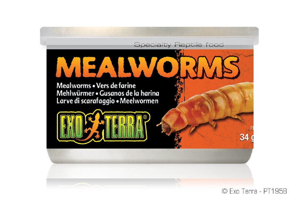 Exo Mealworms 34gm