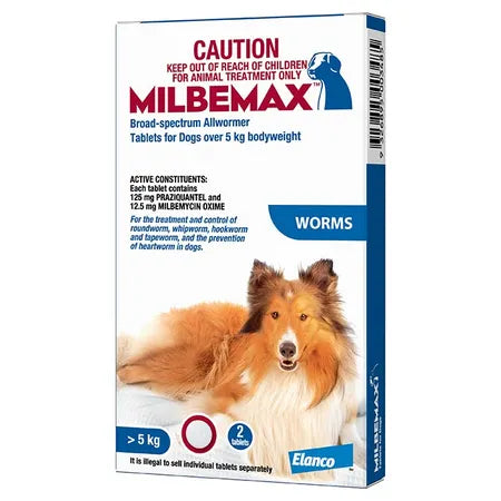 Milbemax Dog