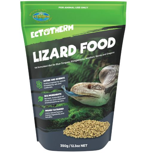 V/Farm Lizard Food
